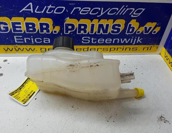 Coolant Expansion Tank RENAULT MEGANE III Grandtour (KZ0/1)