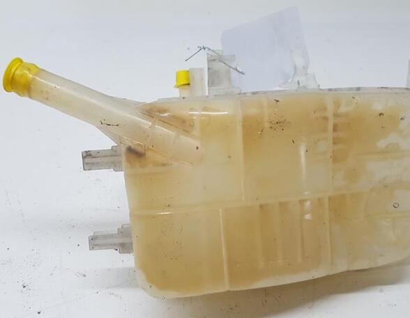 Coolant Expansion Tank RENAULT MEGANE III Grandtour (KZ0/1)