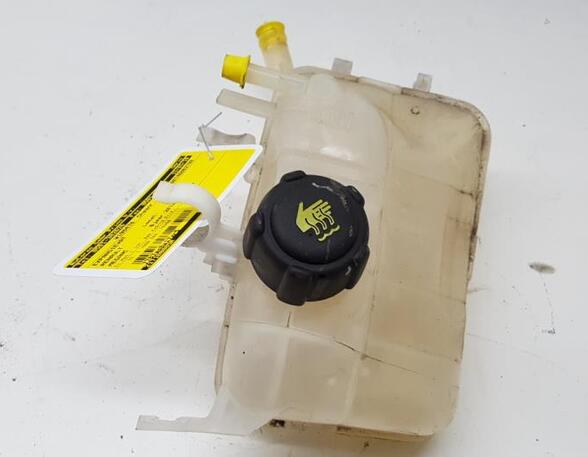 Coolant Expansion Tank RENAULT MEGANE III Grandtour (KZ0/1)