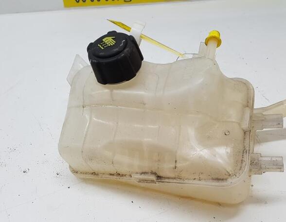 Coolant Expansion Tank RENAULT MEGANE III Grandtour (KZ0/1)