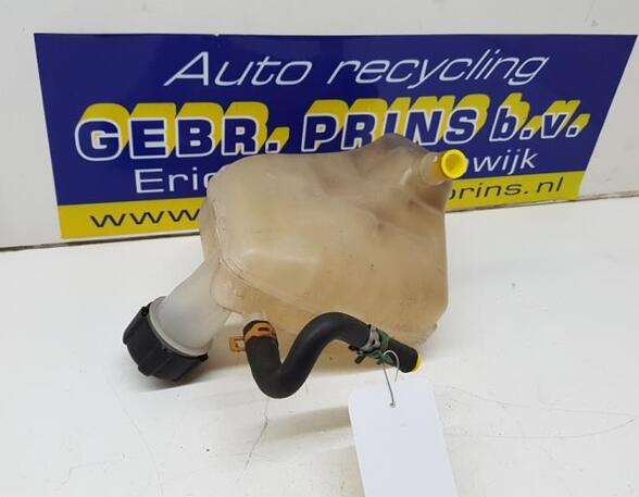 Coolant Expansion Tank RENAULT TWINGO II (CN0_)