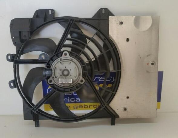 Radiator Electric Fan  Motor CITROËN C3 II (SC), CITROËN DS3 (--)