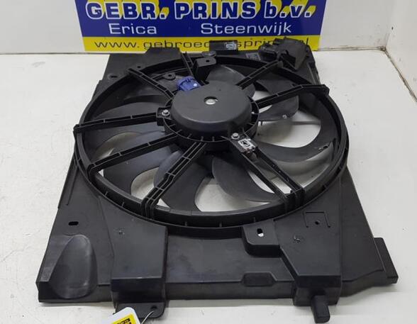 Radiator Electric Fan  Motor RENAULT Captur I (H5, J5), RENAULT Clio IV (BH)