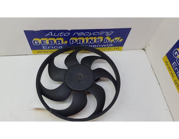 Radiator Electric Fan  Motor FORD Fiesta VII (HF, HJ)