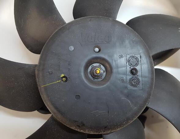 Radiator Electric Fan  Motor CITROËN C3 II (SC_)