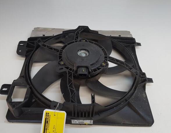 Radiator Electric Fan  Motor CITROËN C3 II (SC_)