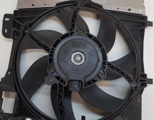 Radiator Electric Fan  Motor CITROËN C3 II (SC_)