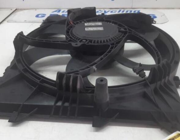 Radiator Electric Fan  Motor BMW 3 Touring (E91)