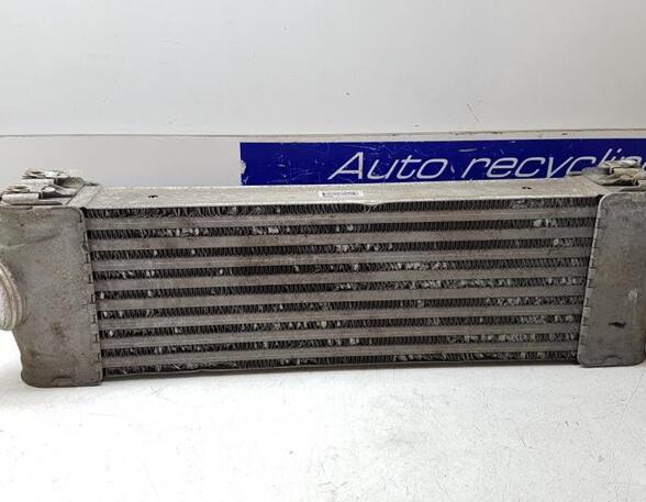 Intercooler FORD Transit V363 Kasten (FCD, FDD)