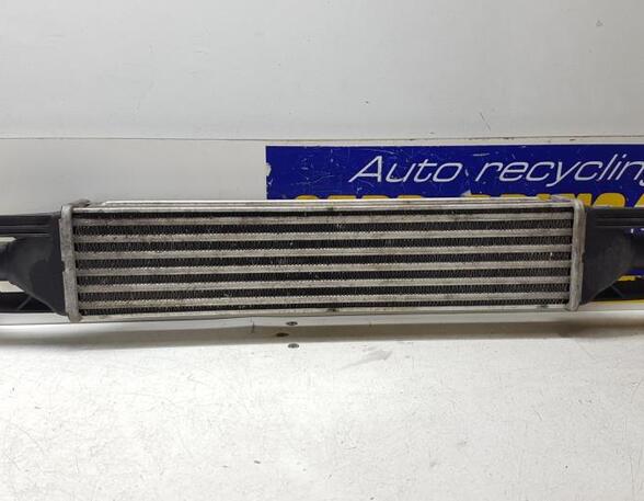 Intercooler FIAT Grande Punto (199), FIAT Punto (199), FIAT Punto Evo (199)