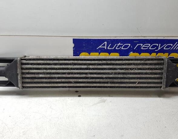 Intercooler FIAT Grande Punto (199), FIAT Punto (199), FIAT Punto Evo (199)