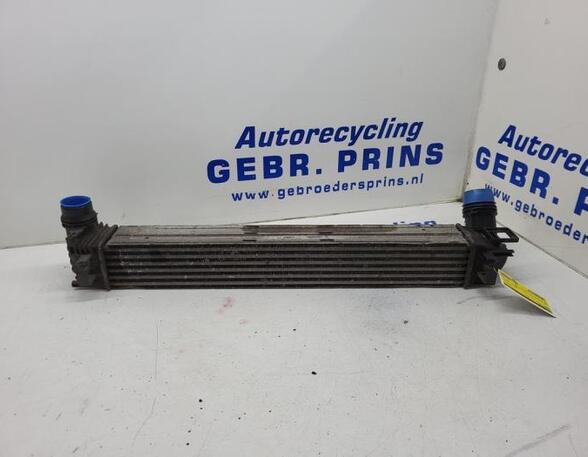 Intercooler RENAULT SCÉNIC III (JZ0/1_), RENAULT GRAND SCÉNIC III (JZ0/1_)