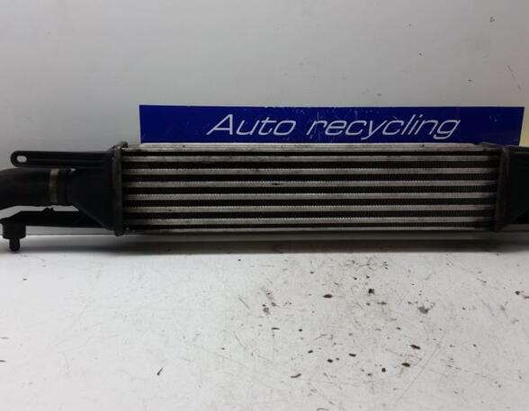 Intercooler FIAT GRANDE PUNTO (199_), FIAT PUNTO (199_), FIAT PUNTO EVO (199_)