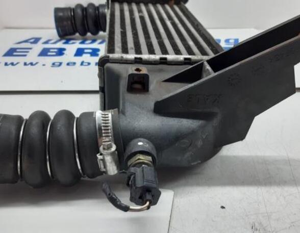 Interkoeler tussenkoeler FORD TRANSIT CONNECT (P65_, P70_, P80_)