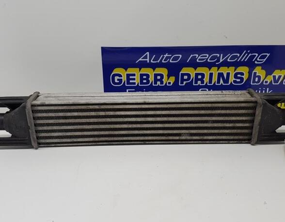 Intercooler FIAT GRANDE PUNTO (199_), FIAT PUNTO (199_), FIAT PUNTO EVO (199_)