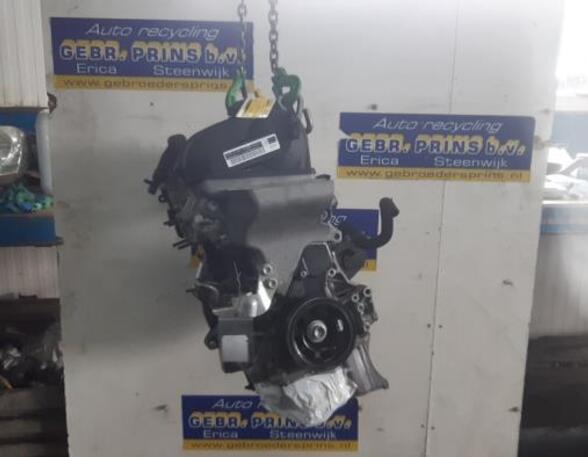 Motor kaal SKODA Rapid Spaceback (NH1), SKODA Rapid (NH3)