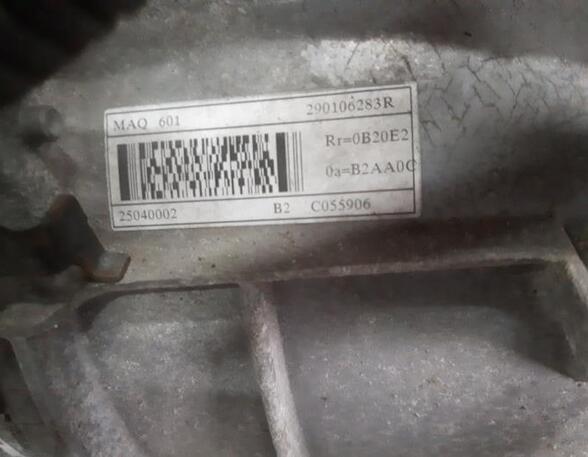 Engine Block RENAULT KANGOO Express (FW0/1_)