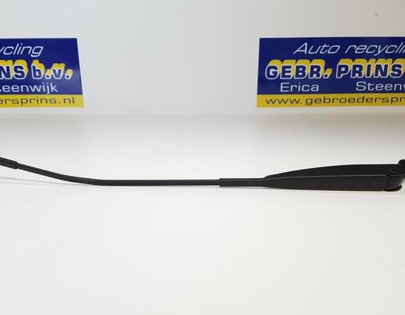 Wiper Arm FIAT 500 (312), FIAT 500 C (312), FIAT 500/595/695 (312), FIAT 500C/595C/695C (312)