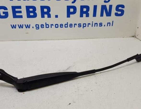 Wiper Arm FIAT 500 (312), FIAT 500 C (312), FIAT 500/595/695 (312), FIAT 500C/595C/695C (312)