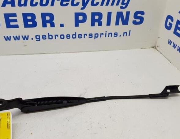 Wiper Arm FIAT 500 (312), FIAT 500 C (312), FIAT 500/595/695 (312), FIAT 500C/595C/695C (312)