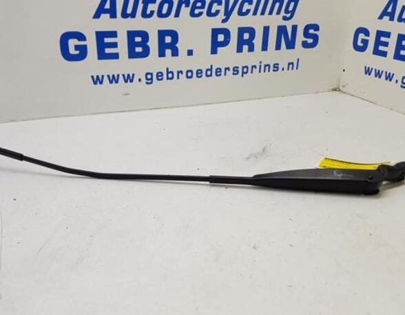 Wiper Arm FIAT 500 (312), FIAT 500 C (312), FIAT 500/595/695 (312), FIAT 500C/595C/695C (312)