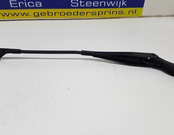 Wiper Arm RENAULT Twingo II (CN0)