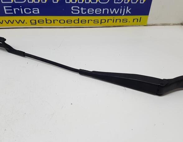 Wiper Arm RENAULT Twingo II (CN0)