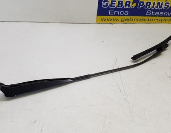 Wiper Arm FIAT 500 (312), FIAT 500 C (312), FIAT 500/595/695 (312), FIAT 500C/595C/695C (312)