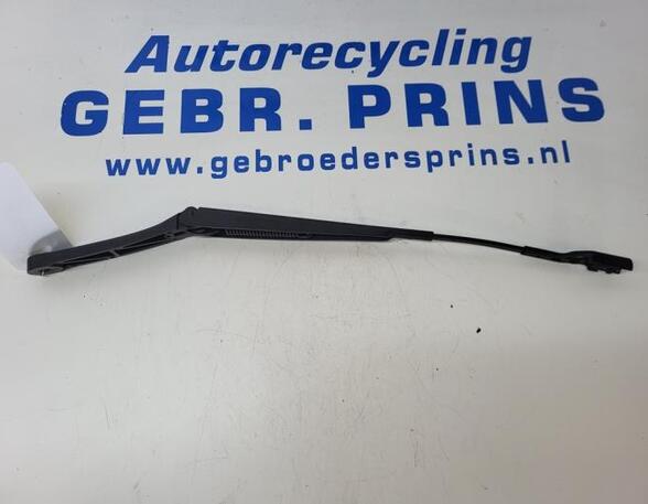 Wiper Arm VW Golf VIII (CD1), VW Golf VIII (CB1)