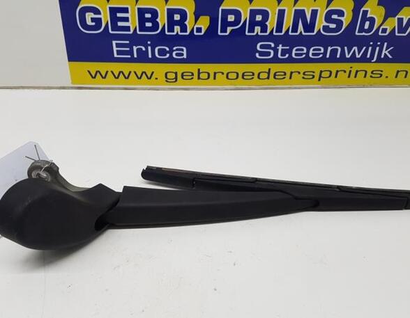 Wiper Arm FORD Focus III (--)