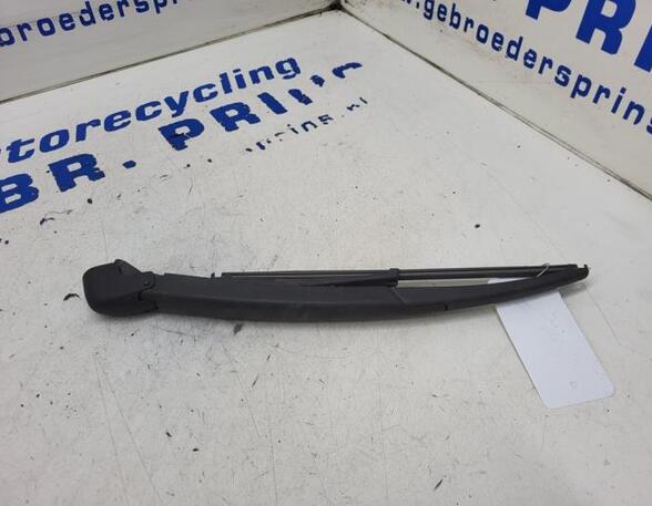 Wiper Arm FIAT 500 (312), FIAT 500 C (312), FIAT 500/595/695 (312), FIAT 500C/595C/695C (312)