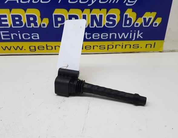 Ignition Coil FIAT 500 (312), FIAT 500 C (312)