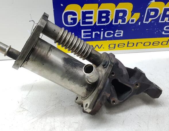 Koeler voor EGR RENAULT KANGOO Express (FW0/1_)