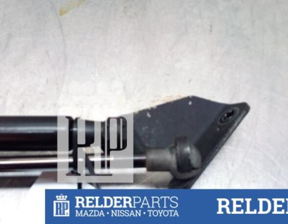 Gas Spring NISSAN QASHQAI / QASHQAI +2 I (J10, NJ10, JJ10E)