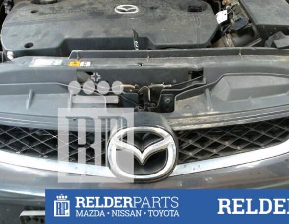 Radiator Grille MAZDA 5 (CR19)