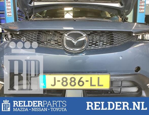 Radiator Grille MAZDA MX-30 (DR)