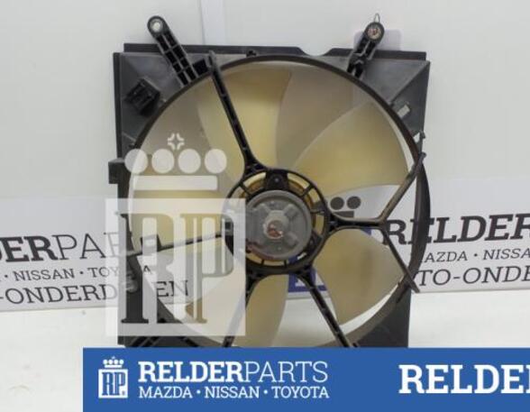 Radiator Electric Fan  Motor TOYOTA RAV 4 II (_A2_)