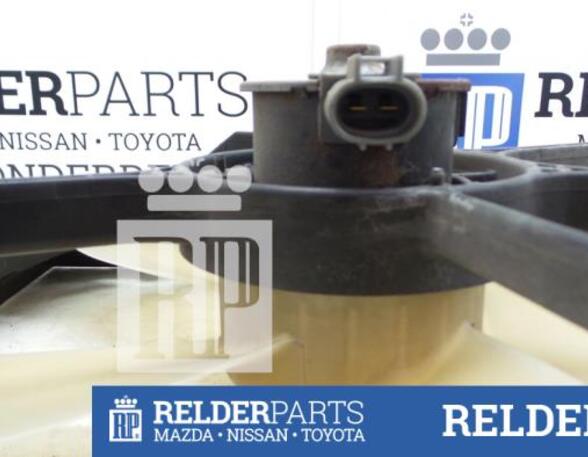 Radiator Electric Fan  Motor TOYOTA RAV 4 II (_A2_)