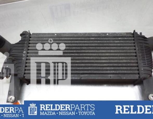 Intercooler NISSAN PATHFINDER III (R51)