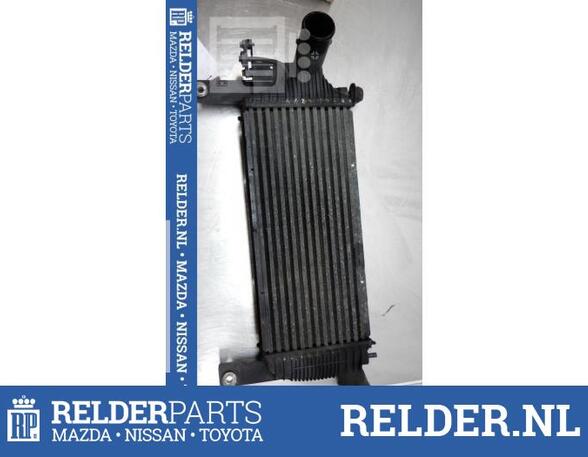 Intercooler NISSAN PATHFINDER III (R51)