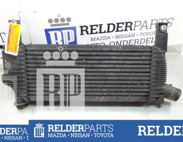 Intercooler NISSAN PATHFINDER III (R51)