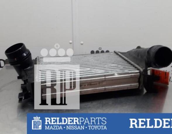 Intercooler NISSAN QASHQAI II SUV (J11, J11_)