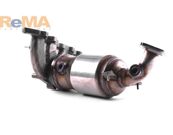 Catalytic Converter FIAT DOBLO Cargo (263_), FIAT DOBLO MPV (263_)