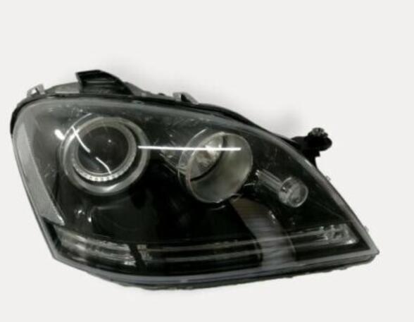 Headlights MERCEDES-BENZ /8 (W114) A1648203859