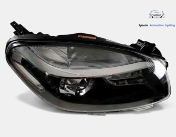 Headlights RENAULT 10 (119_) 260106819