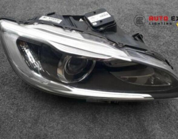 Headlights VOLVO  140 (142, 144)  31420254