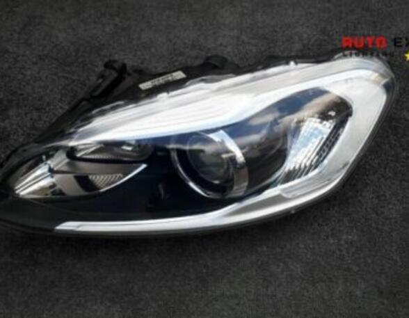 Headlights VOLVO 140 (142, 144) 31395896