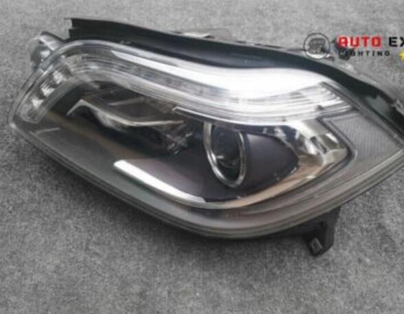 Headlights MERCEDES-BENZ /8 (W114) A1668203361