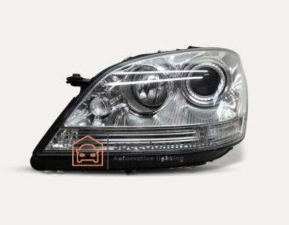 Headlights MERCEDES-BENZ /8 (W114) A164820