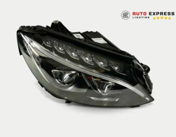 Headlights MERCEDES-BENZ /8 (W114) A2059063204